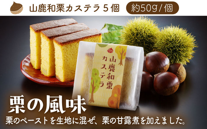 カステラセット 山鹿和栗 & あんず 計10個 【株式会社あんず】 [ZBT003]