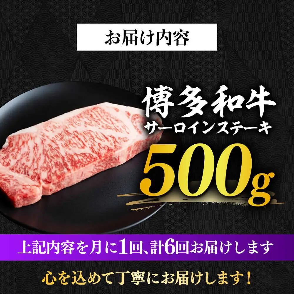 サーロイン 【全6回定期便】 500g（250g×2枚） [ABBP031] サーロイン