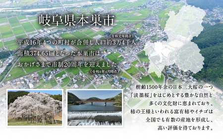 《返礼品なし》 ～ 岐阜県本巣市への寄附 応援寄附金 淡墨桜 (返礼品はありません) [0960]  mt314