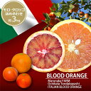 【ふるさと納税】ブラッドオレンジ 「モロ」「タロッコ」詰め合わせ約3kg【1478634】
