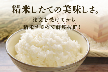 ＜2025年11月以降 順次発送予定＞令和7年産 にじのきらめき　定期便（3回配送）計30kg（5kg×2袋)