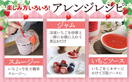 冷凍いちご （ヘタカット済み 500gの小分け袋 x 2個入り）【果物 フルーツ 紅ほっぺ あきひめ】