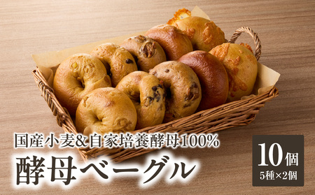 酵母ベーグル5種×2個 10個セット ベーグル ベーグル ベーグル ベーグル 国産小麦＆自家培養酵母100％  酵母 065-10