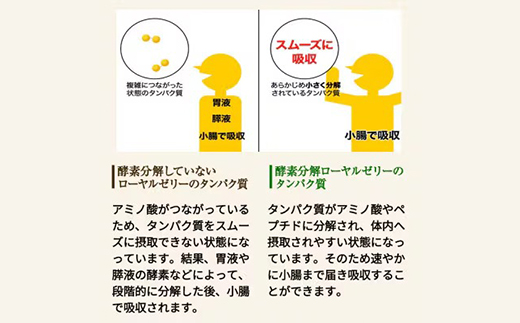 【毎月定期便】酵素分解ローヤルゼリーキング (560)全6回【4010072】