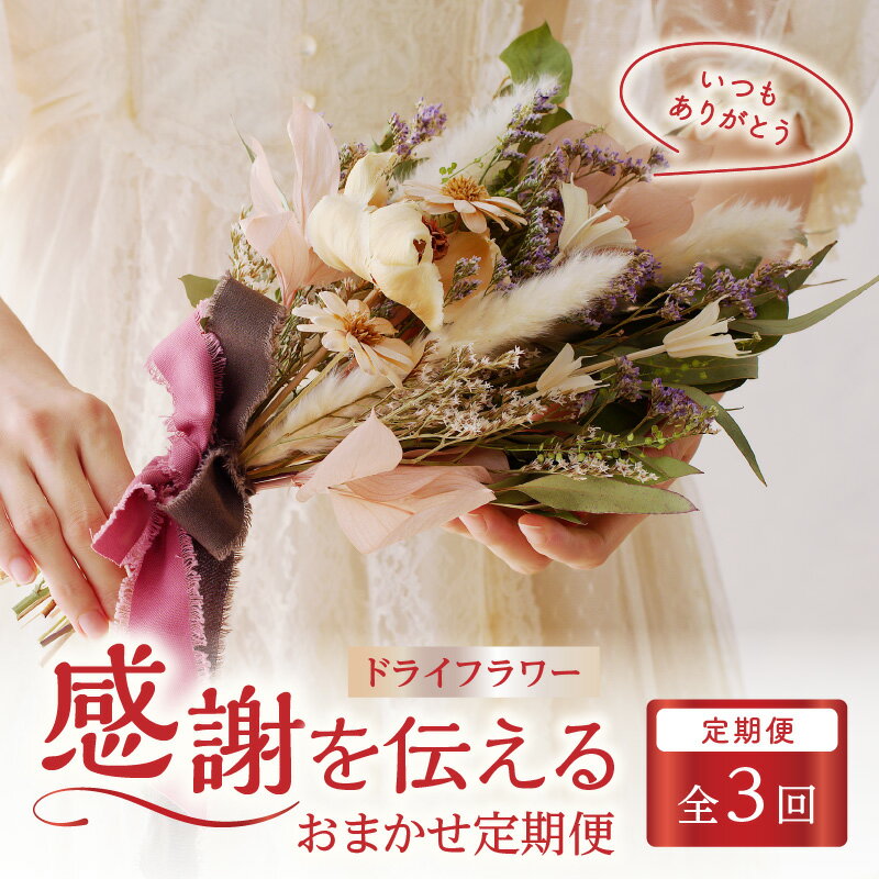【ふるさと納税】ドライフラワー 感謝を伝える定期便【母の日・父の日・敬老の日】（全3回）