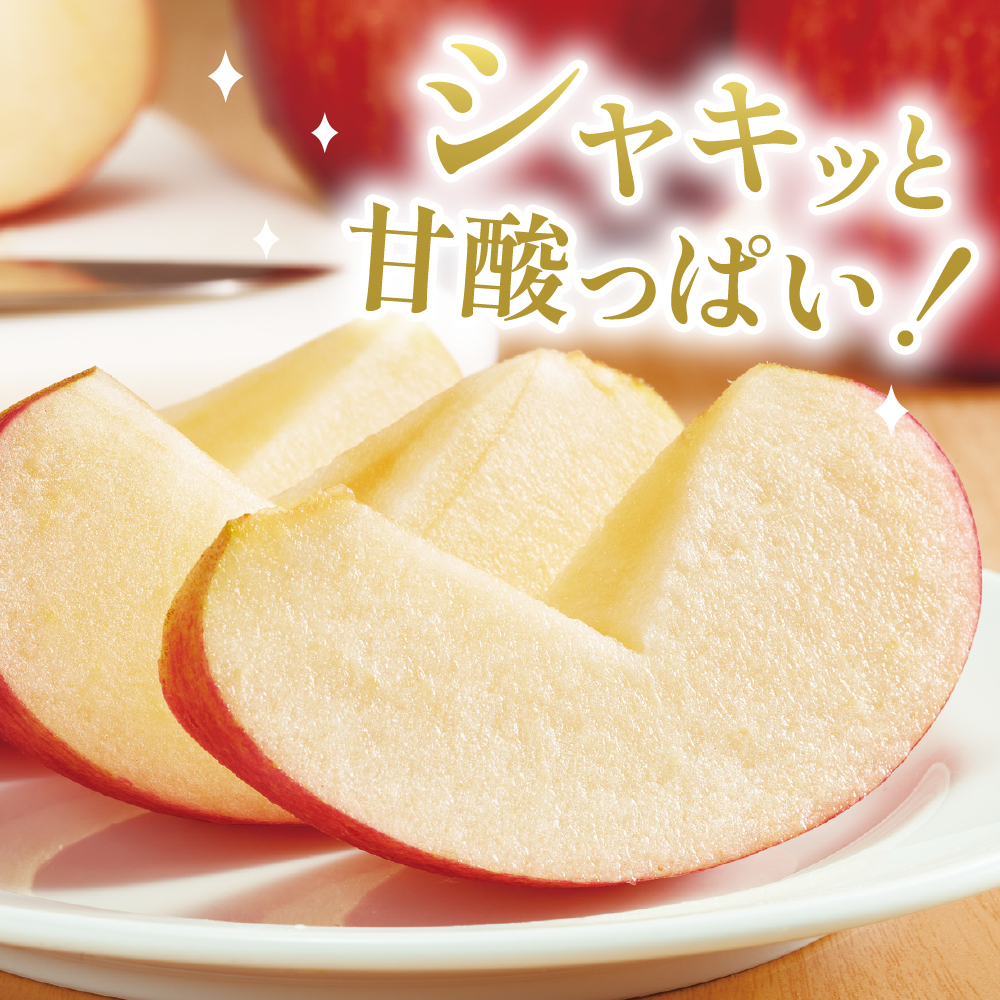 【2025年産 先行予約】りんご「サンふじ」10kg JA提供 山形県 東根市　hi003-139-2_イメージ2