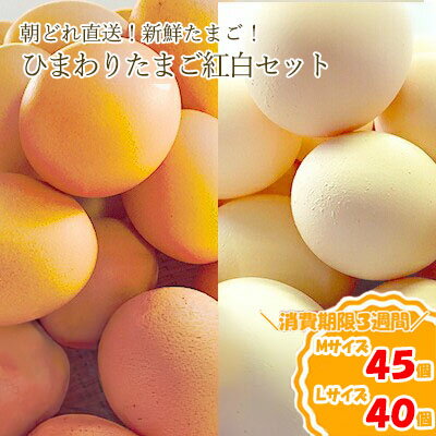 【ふるさと納税】農林水産大臣賞受賞！ひまわりたまご 紅白セット（40〜45個）※破卵補償10個含（冷蔵） 卵 鶏卵 玉子