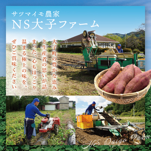 【先行予約】【10月中旬より順次発送予定】熟成さつまいも シルクスイート5kg｜茨城県 大子町 サツマイモ 芋 甘い ホクホク 野菜 数量限定 5キロ 旬（CH003）