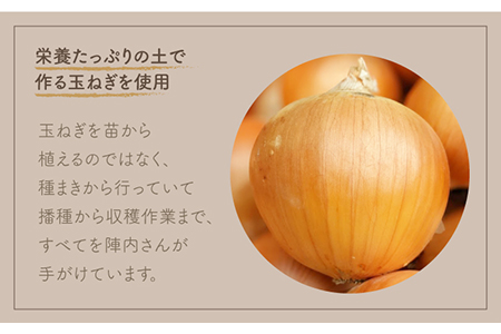 【口の中でとろける！】玉ねぎたっぷりカレーセット（5袋分）【玉葱農家 陣内ちひろ】 [IAO007]