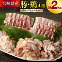 【ふるさと納税】宮崎県産 豚肉 & 鶏肉 バーベキューセット 合計2kg [甲斐精肉店 宮崎県 美郷町 31as0051] 肉 豚 バラ ハラミ ホルモン 鶏 モモ