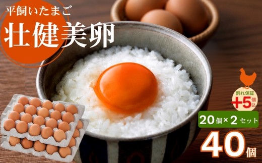 平飼いたまご 三瀬ひなた鶏舎 「壮健美卵」35個＋割れ保証5個（計40個）：B135-026