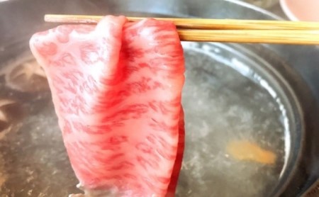 【A5 A4 等級使用】 博多和牛 サーロイン しゃぶしゃぶ用 500g 博多和牛