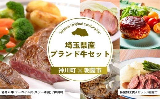 埼玉県産ブランド牛セット | 牛肉 サーロイン ステーキ 彩さい牛 ブランド牛 ローストポーク ローストビーフ チャーシュー ハンバーグ 埼玉県 埼玉県庁