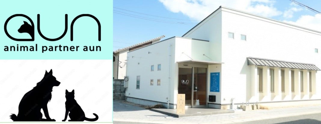 
                  き25-002 【一般社団法人animal partner aun】 とっとり「いぬねこプロジェクト」
人と動物が集い、安心して暮らせる地域社会「ともに生き、ともに未来を築く。」を創造します。（思いやり型返礼品）
                