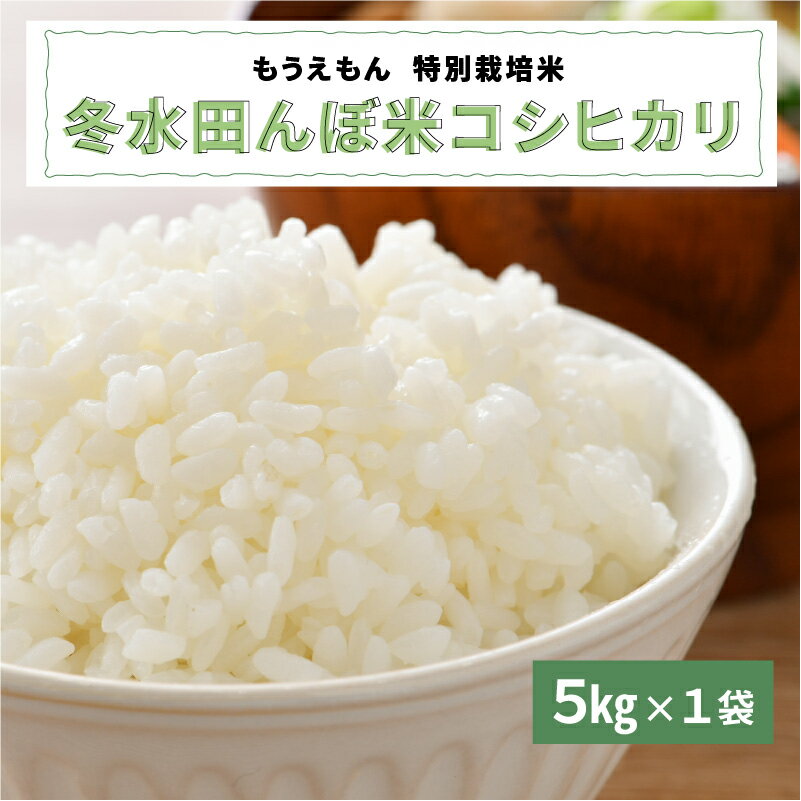 【ふるさと納税】【令和7年産】冬水田んぼ米コシヒカリ（5kg × 1袋）真空パック [C-08206] こしひかり コシヒカリ コメ 特別栽培米 5kg 低農薬 化学肥料不使用 福井県 鯖江市