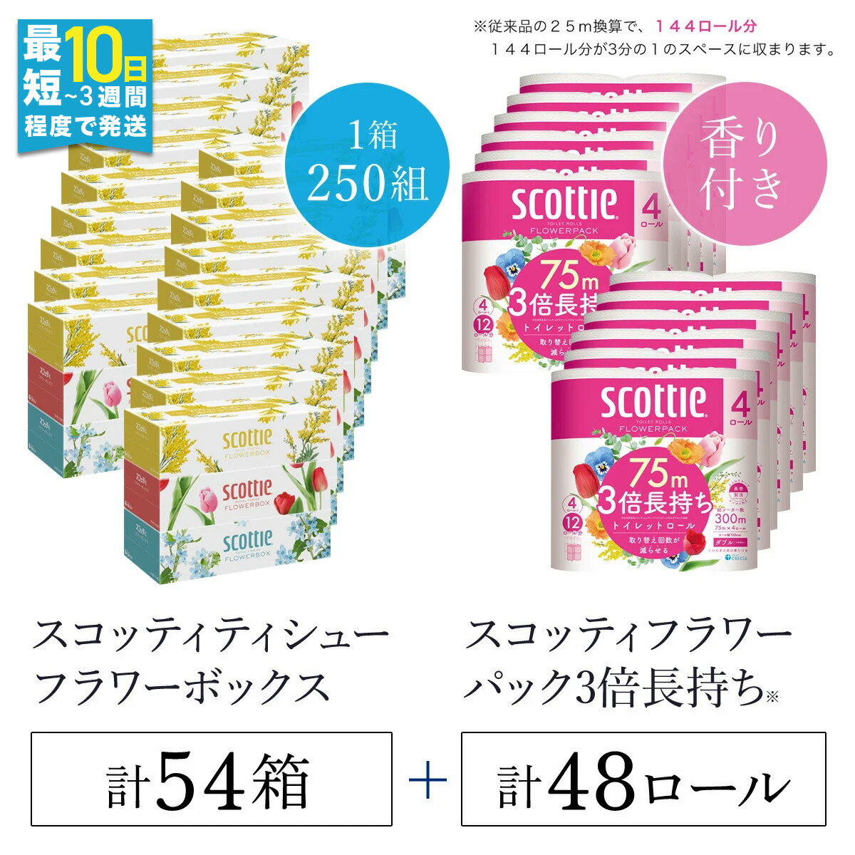 【ふるさと納税】【ボックスティッシュ54箱＋トイレットロール48ロール セット】スコッティティシューフラワーボックス250組54箱(1ケース3箱×18パック) と スコッティフラワーパック3倍長持ち4ロール（ダブル）×12パック セット/ ティッシュ トイレットペーパー FCAS026