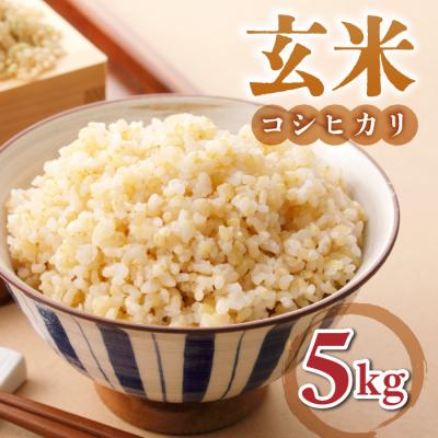 ふるさと納税 東御市 【小田農園】冷めても美味しいコシヒカリ　玄米5kg　|※2025年9月下旬以降、発送開始予定