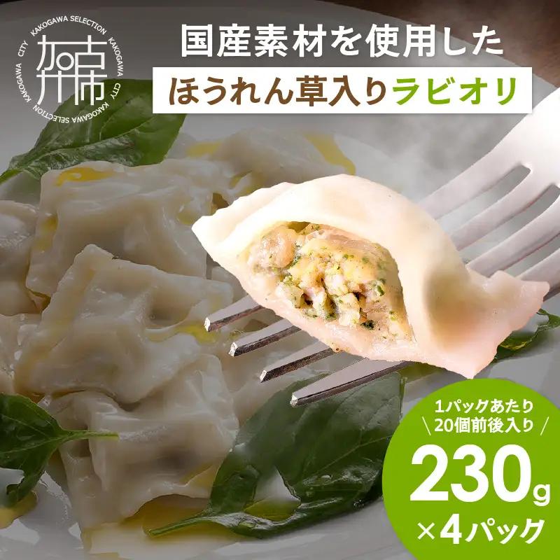 国産素材のほうれん草入りラビオリ(230g×4)《 ほうれん草 生パスタ おかず 副菜 もちもち 一口サイズ 》【2400I15937】
