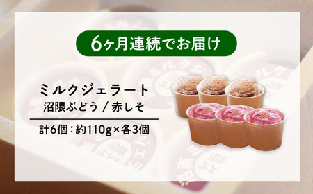 【全6回定期便】沼南ミルクジェラート 沼隈ぶどう＆赤しそ　各3個　食べ比べセット　アイス  ぶどう 赤しそ アイス アイスクリーム デザート スイーツ ご当地 広島県福山市/甚ごろう[BAEC047]