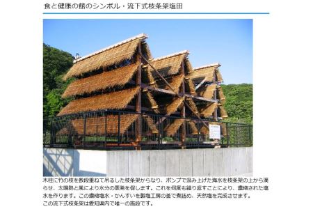 美浜の塩特産品詰め合わせ "健やか"◆