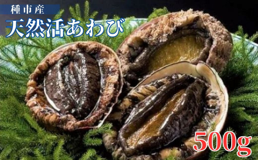 種市産天然活あわび 4～5個程度(約500g) お刺身 鮑 ステーキ 産地直送 冷蔵