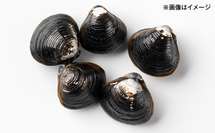 お徳用！宍道湖産冷凍シジミ3kg/株式会社山光食品 [ALHZ003]