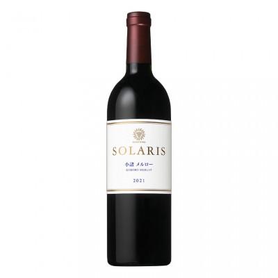ふるさと納税 小諸市 日本ワイン ソラリス 小諸 メルロー 750ml×1本  赤ワイン