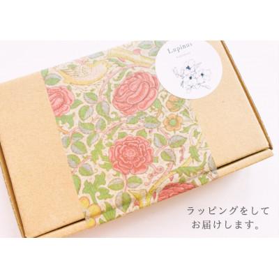 ふるさと納税 小山市 アレルギー対応ピアス 2点セット「クリアフラワーのピアス・アジアンタムのピアス」 |  | 01