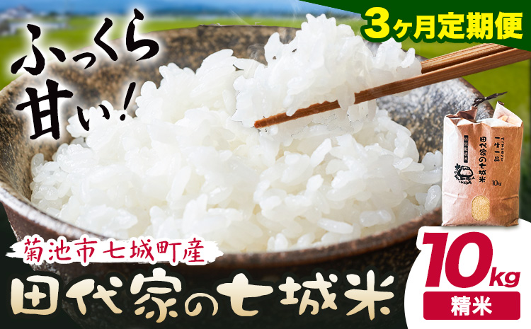 【3ヶ月定期便】令和7年産 菊池市七城町産 田代家の七城米 七城ヒノヒカリ 白米 10kg 田代こめや《お申込み翌月から出荷》熊本県 菊池市 米 お米 精米 ひのひかり 菊池市産 熊本県産 九州産 送料無料