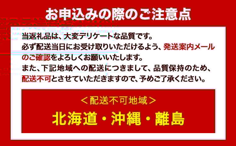 【2026年先行予約受付】シャインマスカット 岡山県産 シャインマスカット 晴王 1房 750g《2026年9月上旬-10月末頃出荷(土日祝除く)》 ハレノフルーツ マスカット 送料無料 岡山県 浅口
