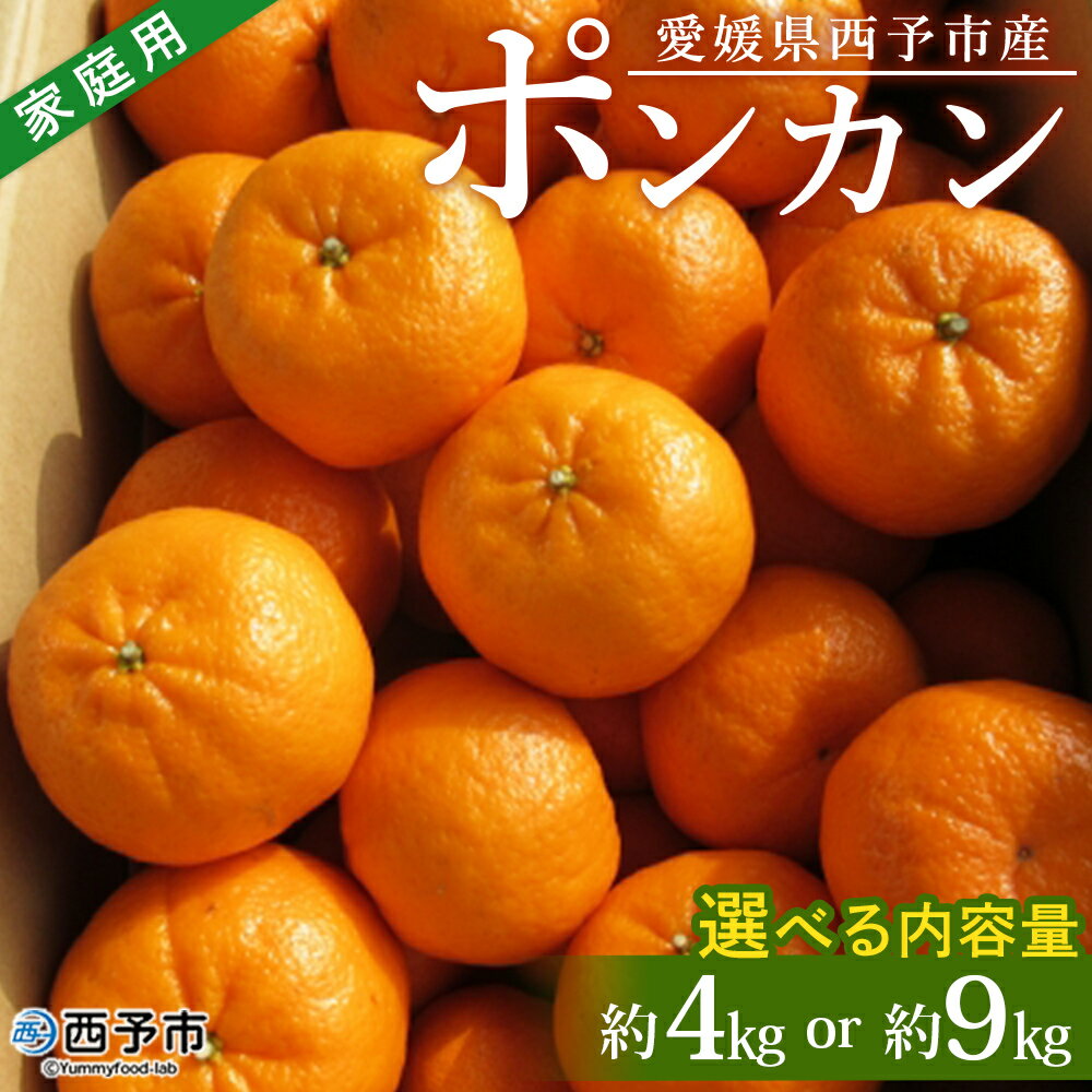 【ふるさと納税】＜愛媛県西予市産 ポンカン 約4kg／9kg 家庭用＞ 果物 くだもの みかん ミカン 柑橘 ぽんかん フルーツ 旬 おいしい 訳あり ワケアリ 自宅用 選べる 特産品 産地直送 段畑みかん 愛媛県 西予市【常温】『2026年1月中旬～2月上旬迄に順次出荷予定』