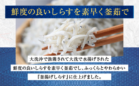 釜揚げしらす 6パック ( 160g × 6パック ) 約 1kg 天然 大洗 しらす シラス 魚 さかな 離乳食_AG031