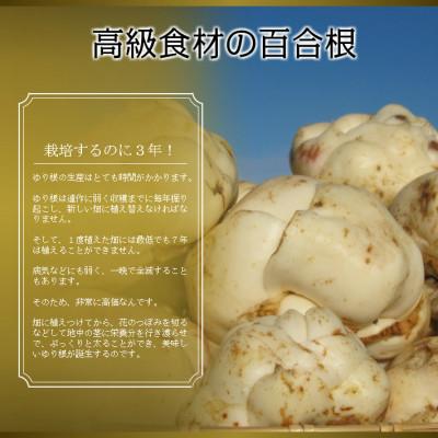 ふるさと納税 富良野市 2026年秋発送開始 北海道 富良野産　百合根(ゆりね) 1kg 訳あり |  | 02