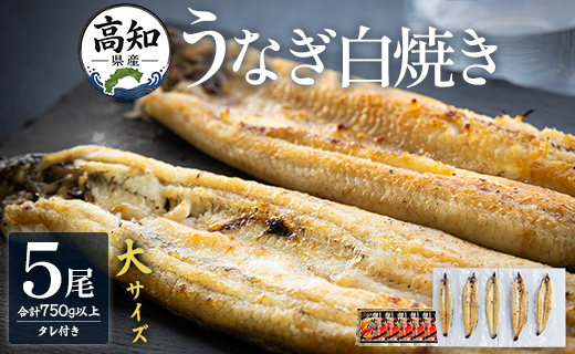 吉川水産 高知県産うなぎの白焼き 大サイズ(150～180g)×5尾 - タレ付き 鰻 ウナギ 国産 yw-0124