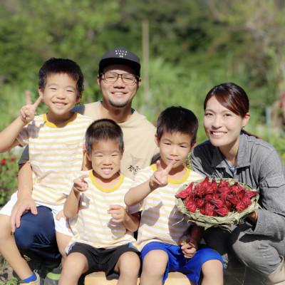 ふるさと納税 座間味村 座間味村産ハーブティー飲み比べセット(ハイビスカス&ハイビスカス ブレンド 各1袋&ジャム1個) |  | 03