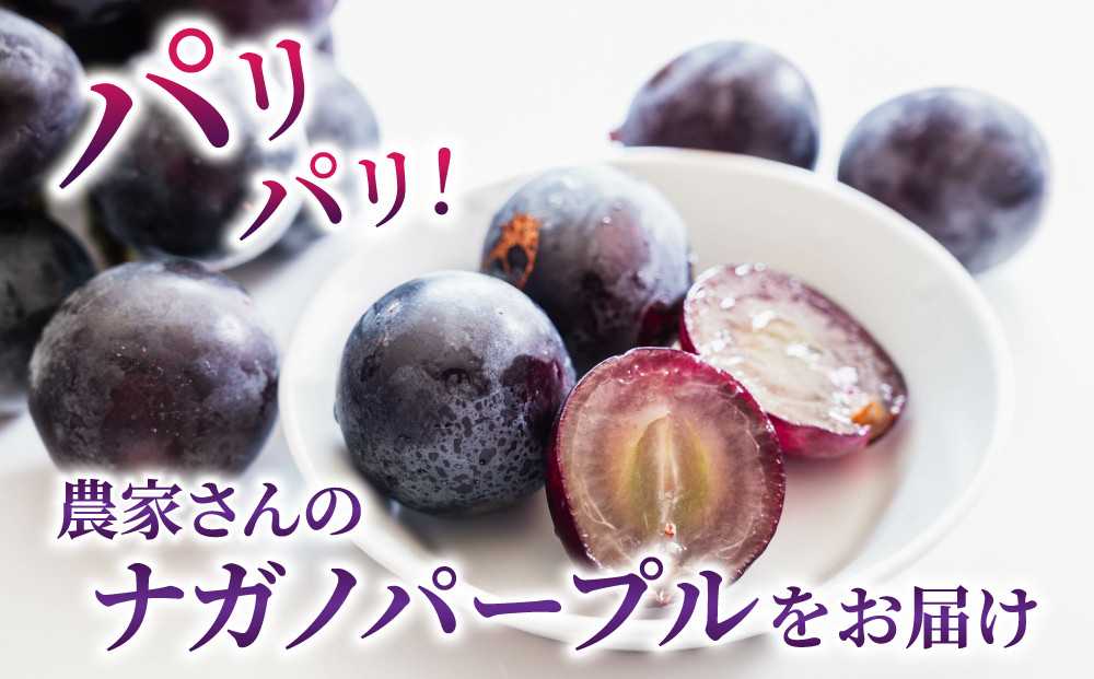 画像はイメージです