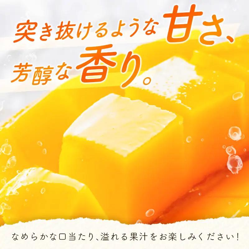 2027年出荷 宮崎 完熟マンゴー 太陽のタマゴ 3L×2玉 計900g以上 E168-27
