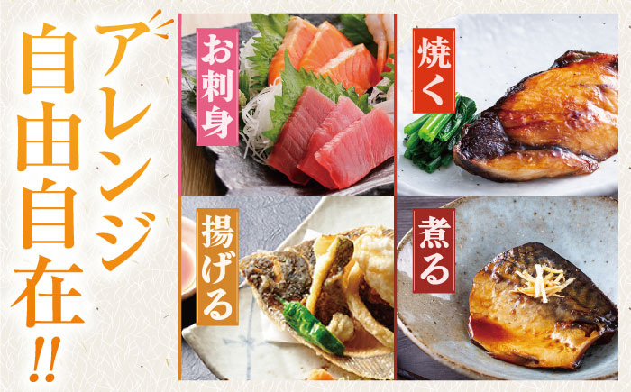 【全12回定期便】【五島の旬】下処理済み 超速冷凍 鮮魚 5種 柵 セット 旬 魚 冷凍 真空 刺身 五島市 / 金沢鮮魚 [PEP021]