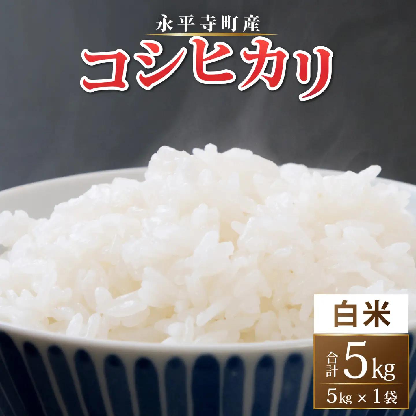 【令和8年度産 新米 先行予約】【白米】永平寺町産 コシヒカリ 白米 5kg こめ ごはん 精米 ご飯 お試し 白米 こしひかり
