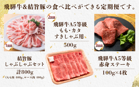 全3回 飛騨牛 結旨豚 食べ比べ 定期便 定期配送 しゃぶしゃぶ すき焼き もも ロース カタ 鍋 お鍋 赤身 ステーキ 肉 牛肉 豚肉 お肉 和牛 冷凍 岐阜県 A5 等級 高級 国産 不揃い ブラ