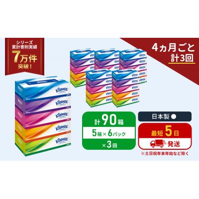 ふるさと納税 岩沼市 定期便 ティッシュ クリネックス ティシュー 5箱入×6P《計3回》 [No.5704-1042] |  | 01