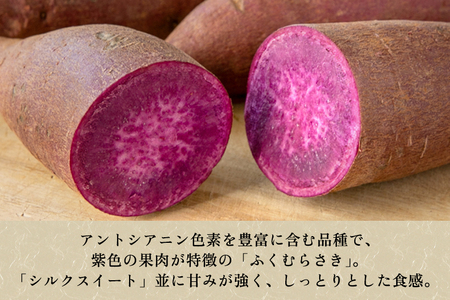 【家庭用】ふくむらさき 1kg（A品・B品混在） 新潟県加茂市七谷産 さつまいも《11月下旬〜順次発送》 サツマイモ お芋 焼き芋 スイートポテト 野菜 根菜 低温熟成 加茂市 YAGOROU ヤゴロ