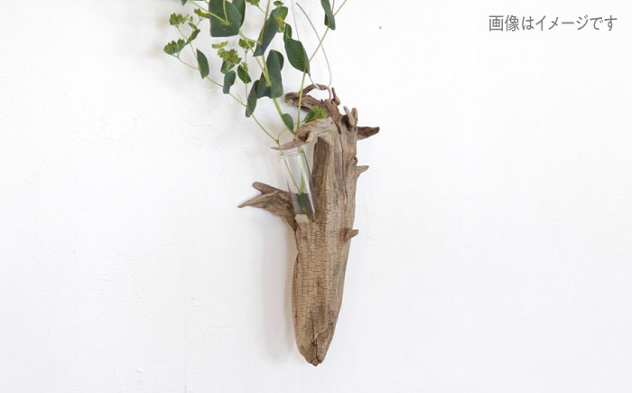 Driftwood FlowerBase 流木一輪挿し フラワーベース 糸島市 / WOOD\'ARBRE(ウッドラヴル)【TIME】 インテリア 雑貨 [ADC003] インテリア 雑貨 一輪挿し 