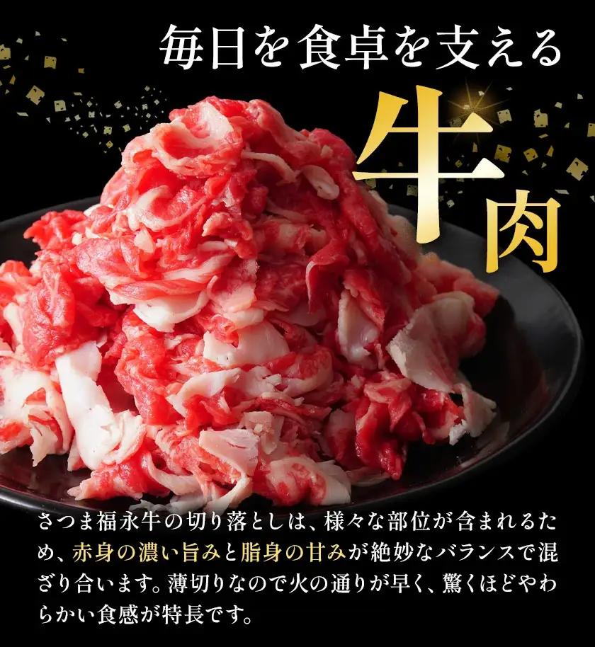 黒毛和牛 さつま福永牛 切り落とし 3パック(1パック335g)  福永畜産《30日以内に出荷予定(土日祝除く)》鹿児島 国産 九州産 肉じゃが 牛丼 冷凍 鹿児島県 さつま町 牛肉 和牛 さつま福永