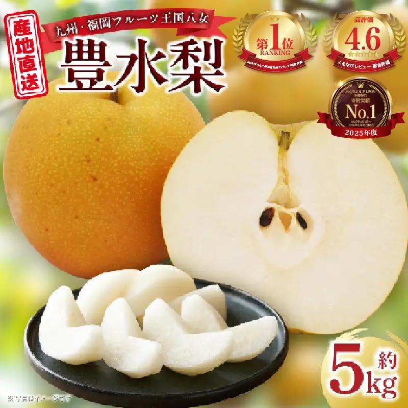 【2026年8～9月発送】 梨(豊水) 約5kg 梨 072-004