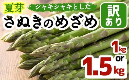 ＜先行予約！2025年6月上旬以降順次発送＞夏芽！訳ありさぬきのめざめ (約1kg) アスパラガス 国産 野菜 アスパラ 新鮮 冷蔵便 【man082・man083】【Aglio nero】