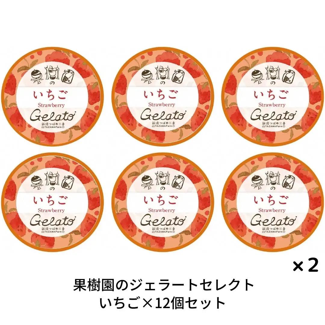 [季節限定] 果樹園のジェラートセレクト [いちご12個セット] ストロベリー ジェラート詰合せ アイス詰合せ ジェラートセット アイスセット 濃厚ジェラート  [田沢農園] 【019S044】