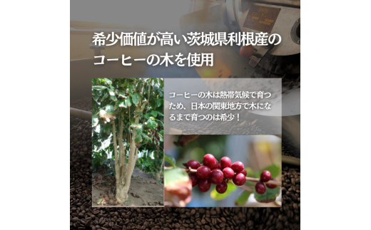 D-8a コーヒー豆の原木を使用して作製したボールペン（１本）【つくば市×牛久市×龍ケ崎市×利根町共通返礼品】