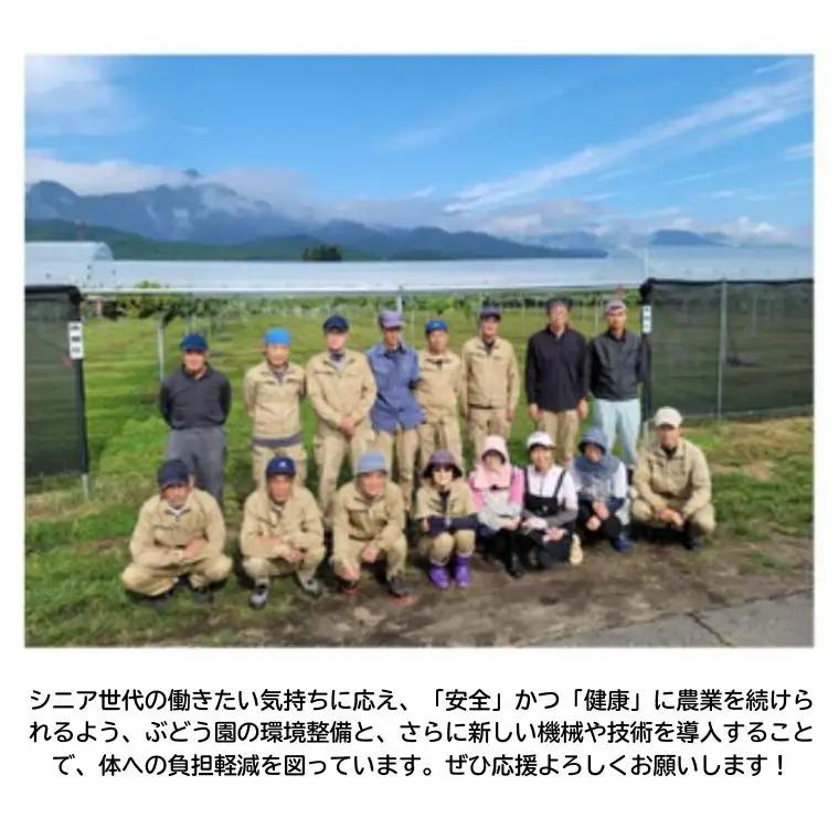 TK22 冷凍カット市田柿 Mサイズ 約400g（約200g×2） // 長野県 南信州 干し柿 高級ドライフルーツ 高糖度 冷凍フルーツ