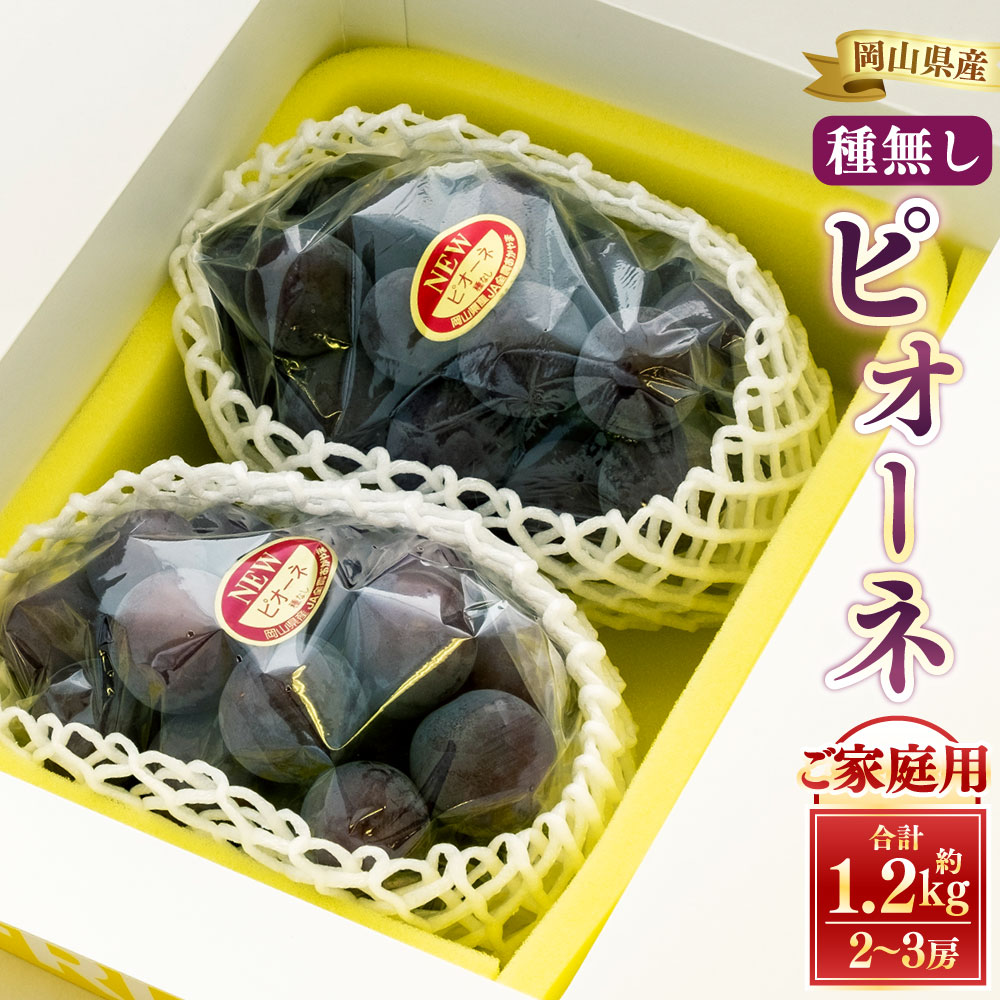 【ふるさと納税】【 ご家庭用 】 ピオーネ 2～3房 1.2kg 【 2026年9月上旬から10月上旬頃発送予定 】 種無し 種なし 果物 くだもの フルーツ ぶどう ブドウ 葡萄 大粒 甘味が強い 甘い 新鮮 果汁 食べ応え 旬 家庭用 岡山県 美咲町 送料無料